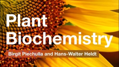 [2025] Biokimia Tanaman Agro