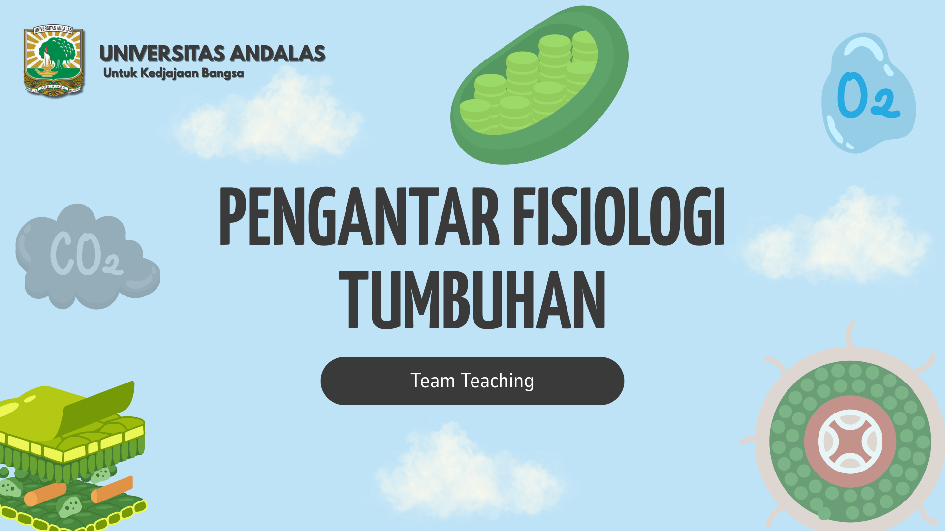 Pengantar Fisiologi Tumbuhan Dhar B
