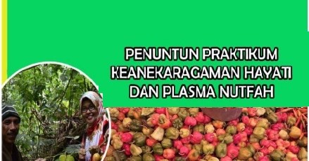 [2024] Praktikum Keanekaragaman Hayati Agro A